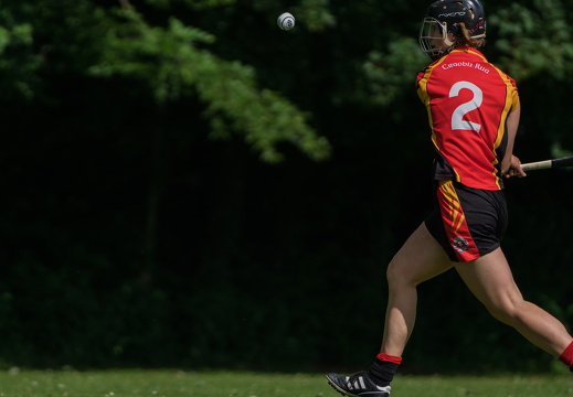 Hurling-Hamburg-gs-37