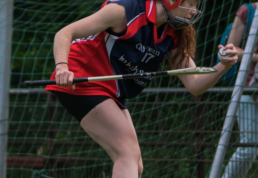 Hurling-Hamburg-gs-38