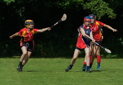 Hurling-Hamburg-gs-44