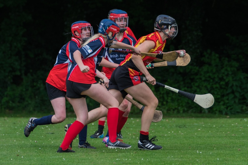 Hurling-Hamburg-gs-47 - Hurling-Hamburg-gs-47.jpg Hurling-Hamburg-gs-47.jpg