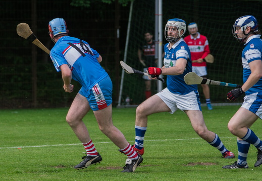 Hurling-Hamburg-gs-50