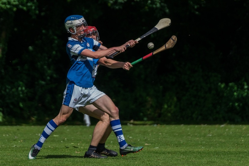 Hurling-Hamburg-gs-51.jpg