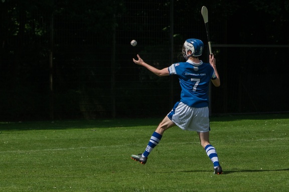 Hurling-Hamburg-gs-59