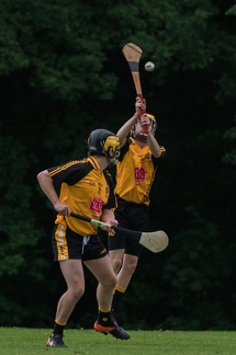 Hurling-Hamburg-gs-69