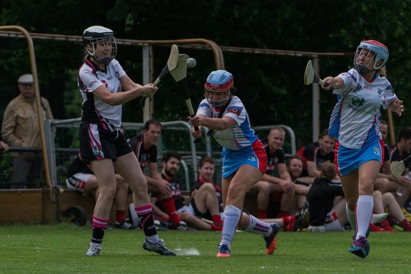 Hurling-Hamburg-gs-80