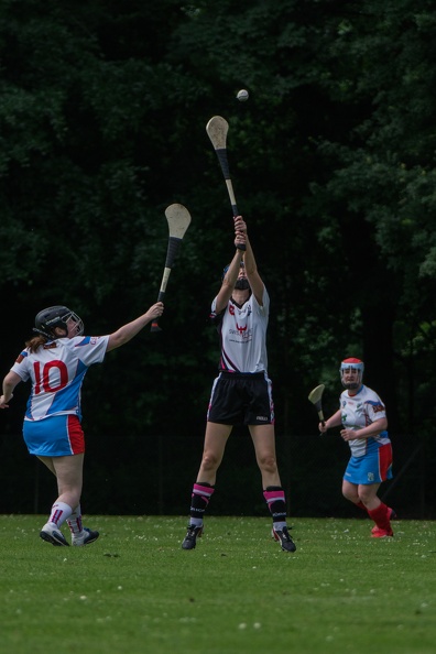 Hurling-Hamburg-gs-82.jpg