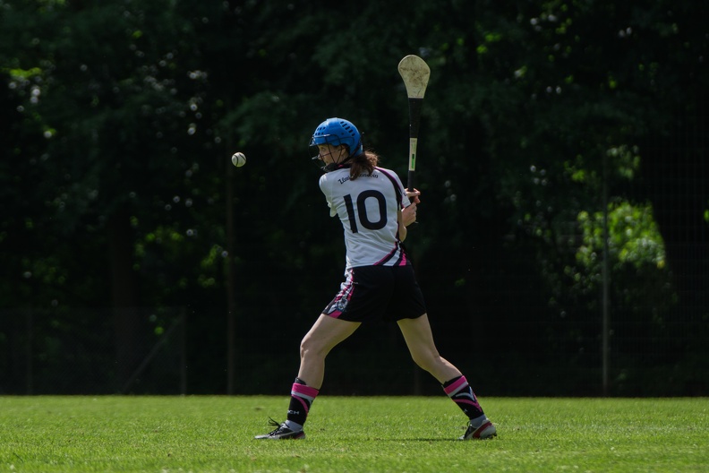 Hurling-Hamburg-gs-88.jpg