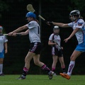 Hurling-Hamburg-gs-90