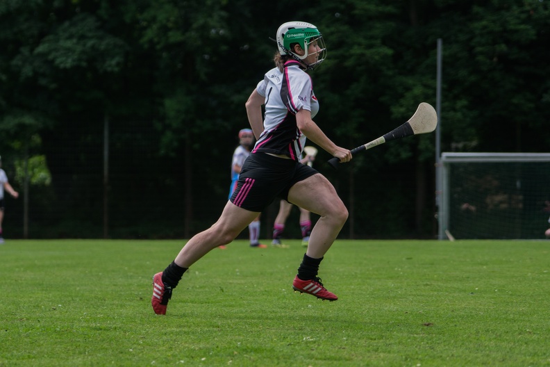 Hurling-Hamburg-gs-91.jpg