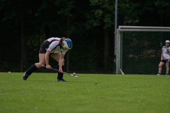 Hurling-Hamburg-gs-95