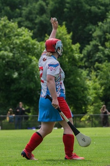 Hurling-Hamburg-gs-96