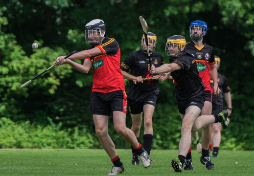 Hurling-Hamburg-gs-100