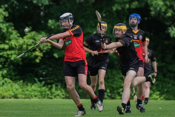 Hurling-Hamburg-gs-100