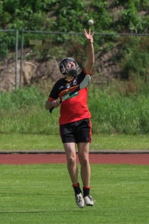 Hurling-Hamburg-gs-104