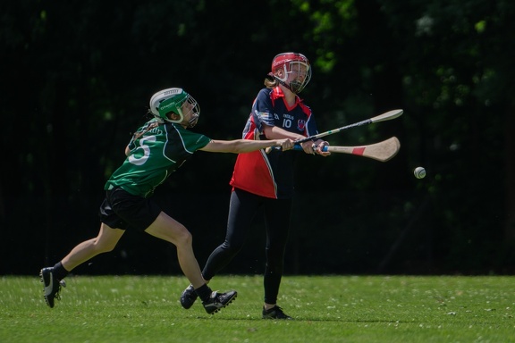 Hurling-Hamburg-gs-120