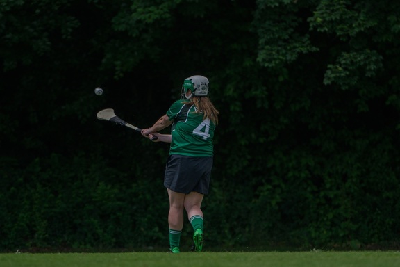 Hurling-Hamburg-gs-126