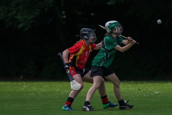 Hurling-Hamburg-gs-147