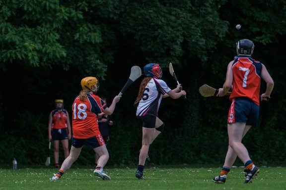 Hurling-Hamburg-gs-162