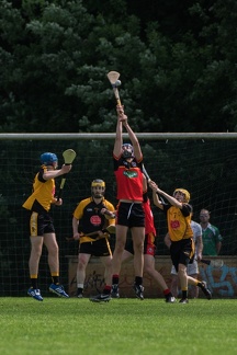 Hurling-Hamburg-gs-172