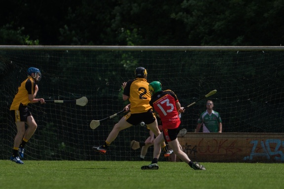 Hurling-Hamburg-gs-173