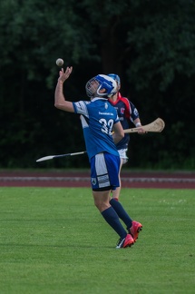 Hurling-Hamburg-gs-201