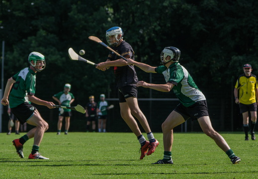 Hurling-Hamburg-gs-207