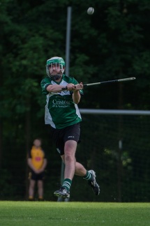 Hurling-Hamburg-gs-208