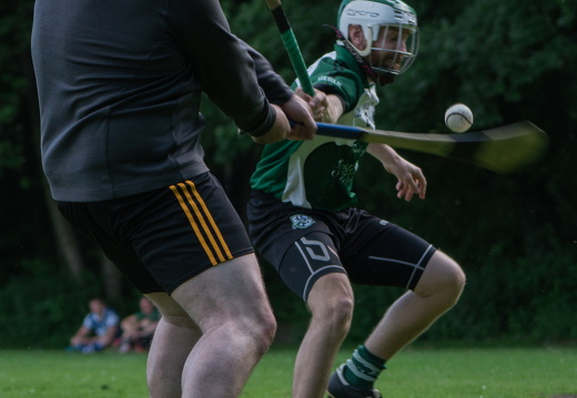 Hurling-Hamburg-gs-209