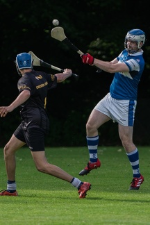 Hurling-Hamburg-gs-212