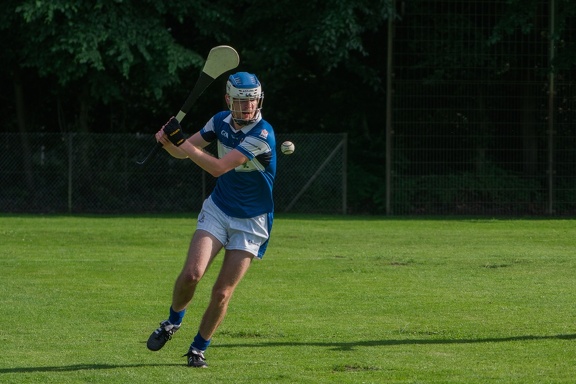 Hurling-Hamburg-gs-216