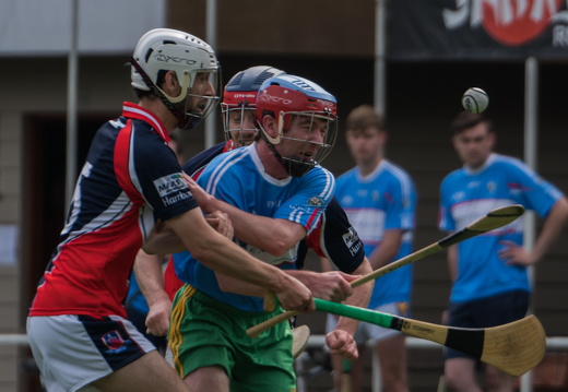 Hurling-Turnier-Bruxelles-22