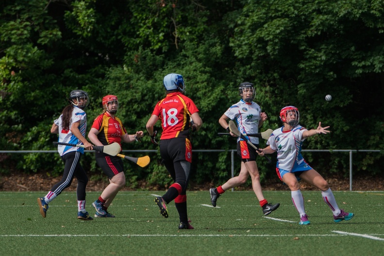 Hurling-Turnier-Bruxelles-37.jpg