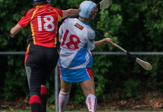Hurling-Turnier-Bruxelles-39