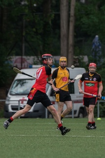 Hurling-Turnier-Bruxelles-101