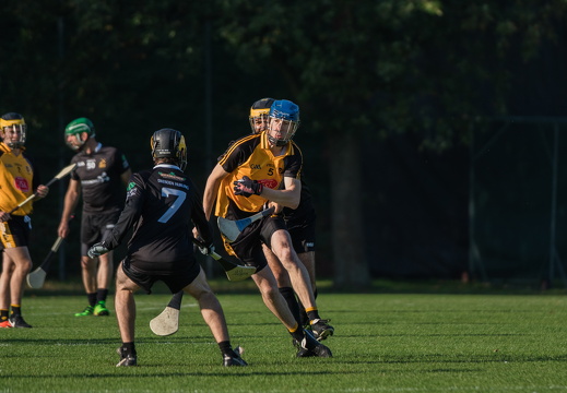Hurling-Dresden-2017-1