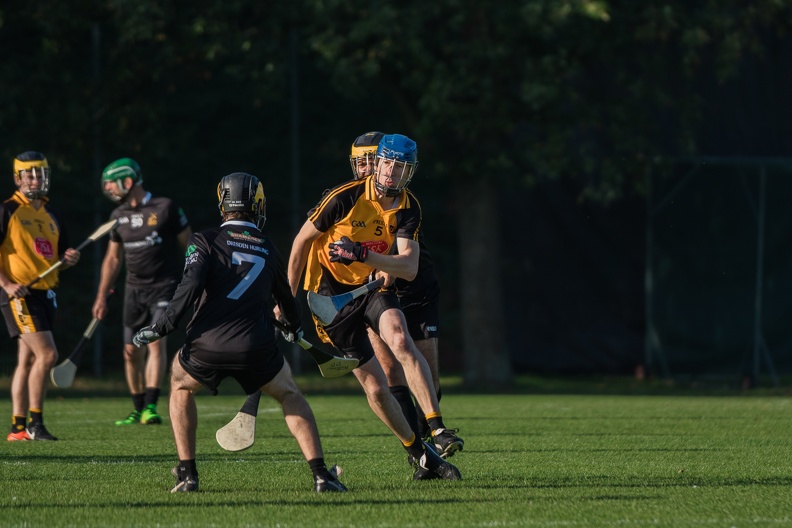 Hurling-Dresden-2017-1 - Hurling-Dresden-2017-1.jpg Hurling-Dresden-2017-1.jpg