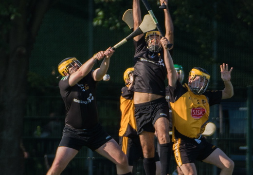 Hurling-Dresden-2017-3