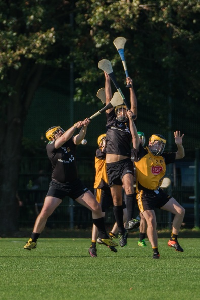 Hurling-Dresden-2017-3.jpg