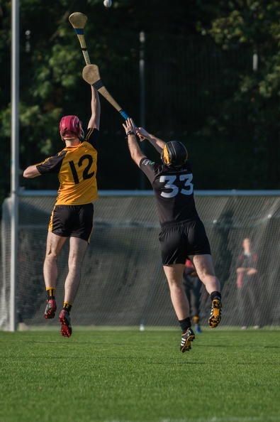 Hurling-Dresden-2017-4 - Hurling-Dresden-2017-4.jpg Hurling-Dresden-2017-4.jpg