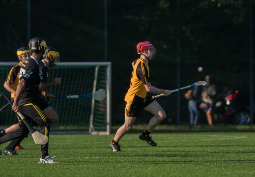Hurling-Dresden-2017-5