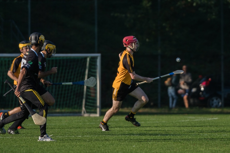 Hurling-Dresden-2017-5