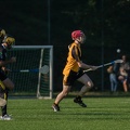 Hurling-Dresden-2017-5