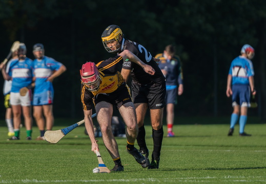 Hurling-Dresden-2017-6