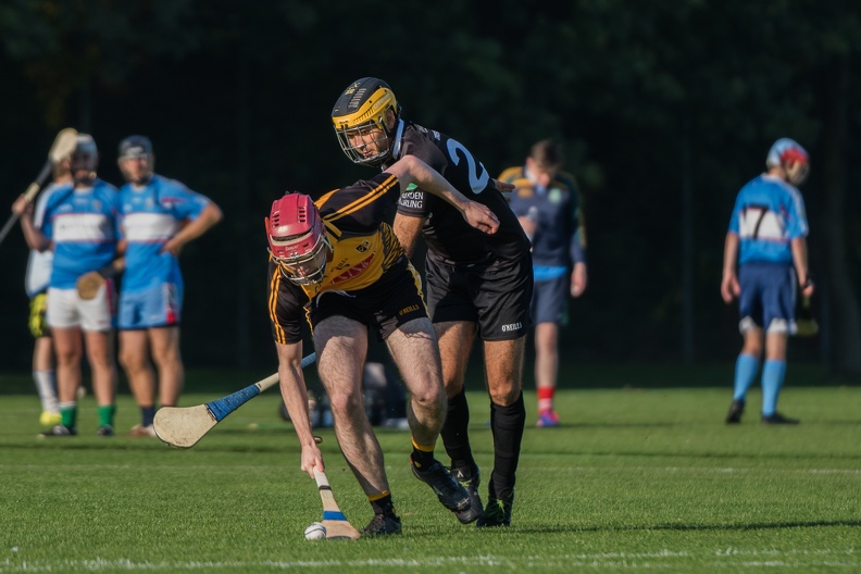 Hurling-Dresden-2017-6.jpg