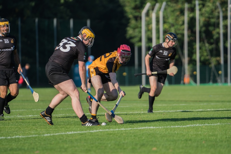 Hurling-Dresden-2017-7.jpg