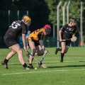 Hurling-Dresden-2017-7