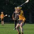 Hurling-Dresden-2017-8