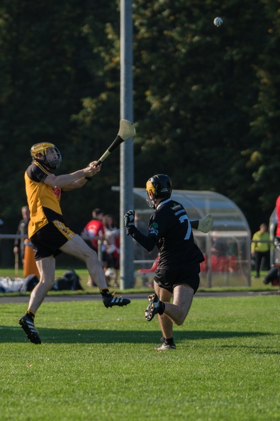 Hurling-Dresden-2017-9.jpg