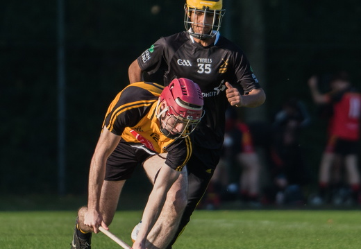 Hurling-Dresden-2017-10