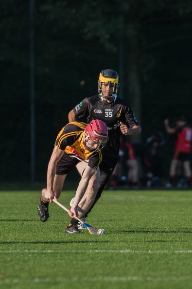 Hurling-Dresden-2017-10.jpg